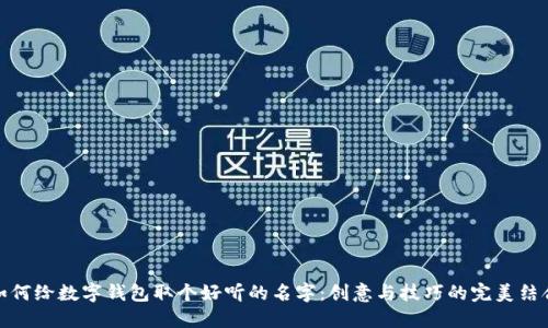 如何给数字钱包取个好听的名字:创意与技巧的完美结合