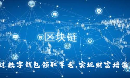 如何通过数字钱包领取羊毛，实现财富增值的秘笈！