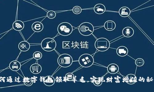 如何通过数字钱包领取羊毛，实现财富增值的秘笈！