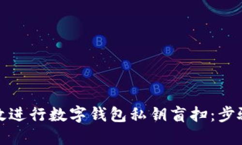 如何高效进行数字钱包私钥盲扫:步骤与技巧