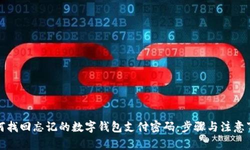 如何找回忘记的数字钱包支付密码：步骤与注意事项